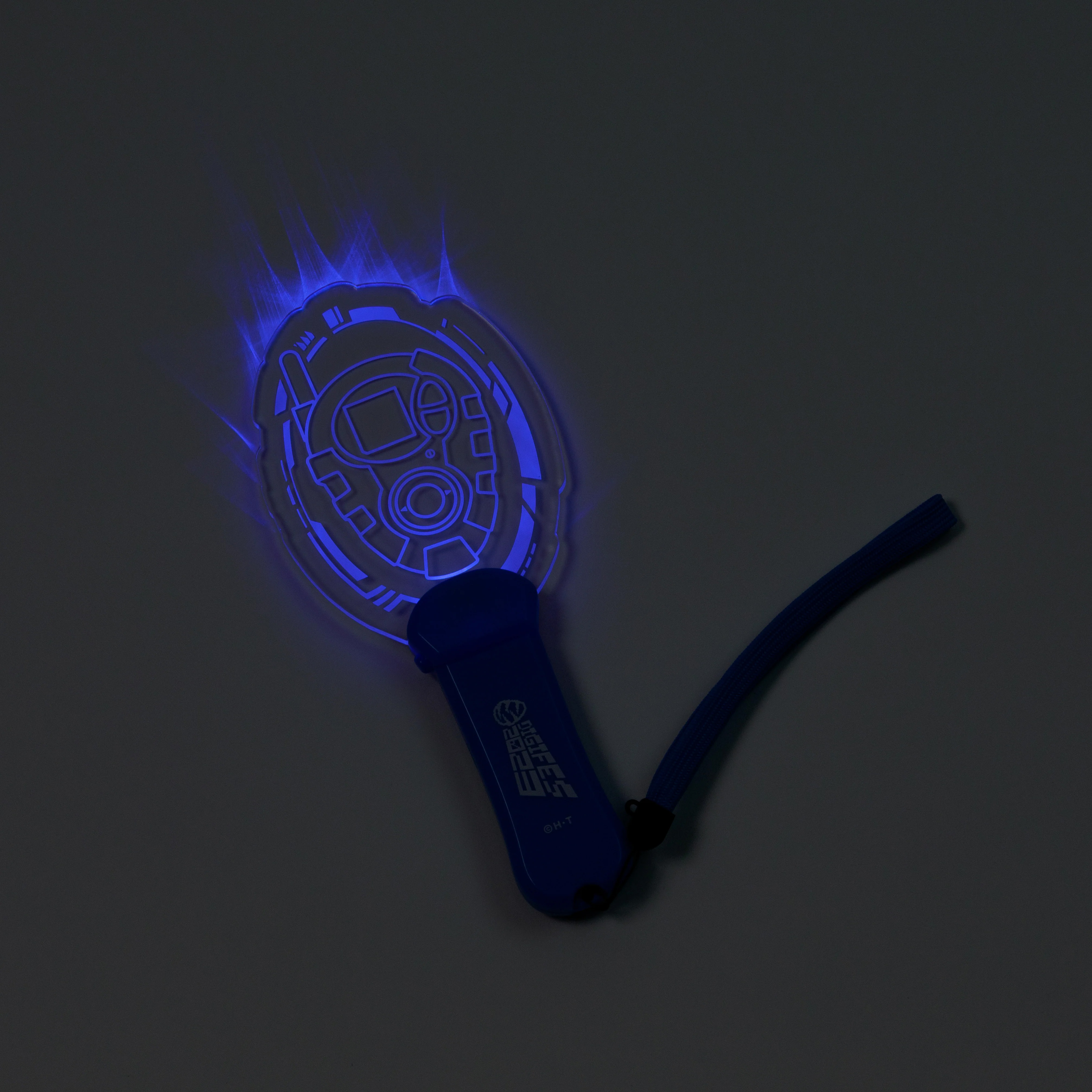 digifes2023products2penlight3_july5_2023.jpg