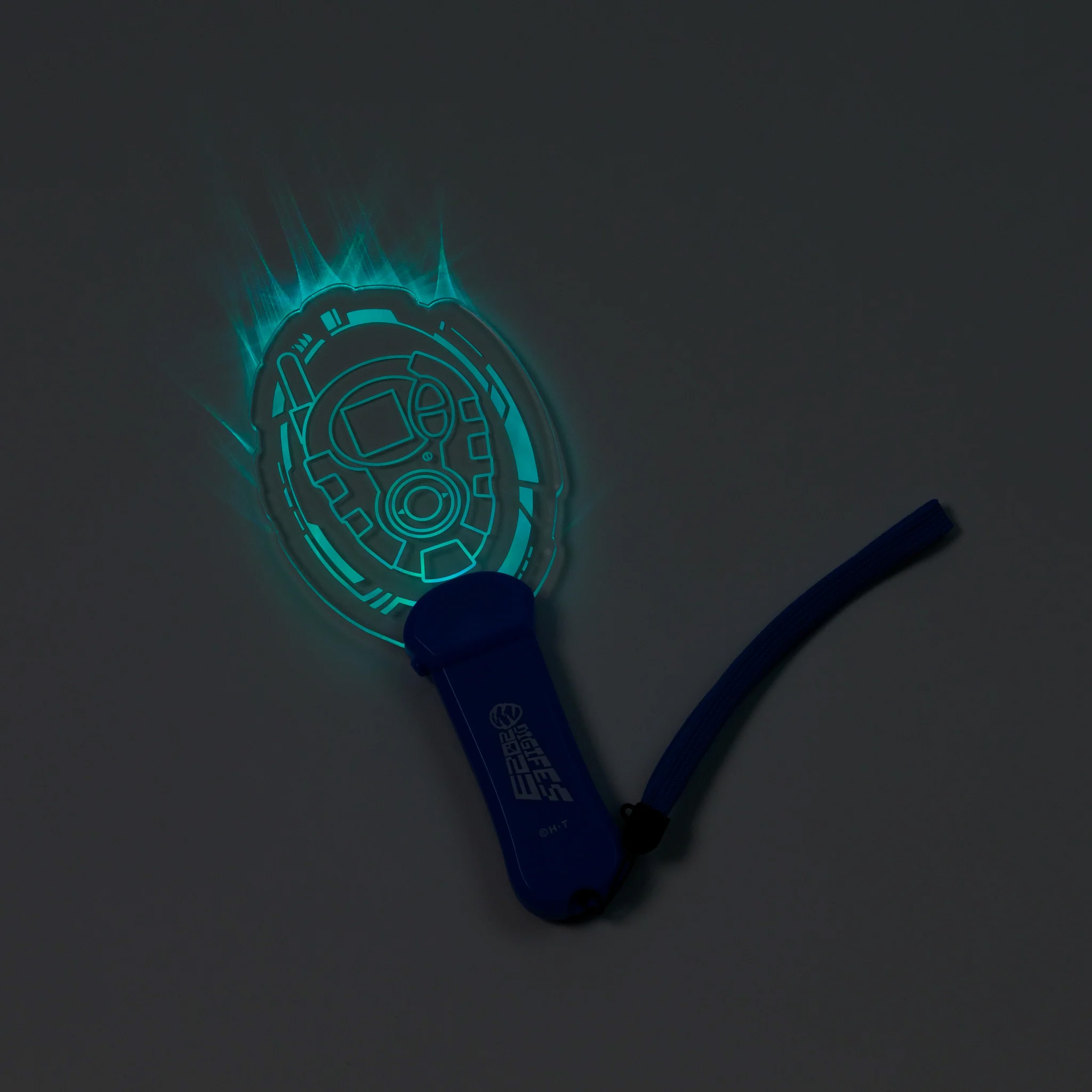 digifes2023products2penlight4_july5_2023.jpg