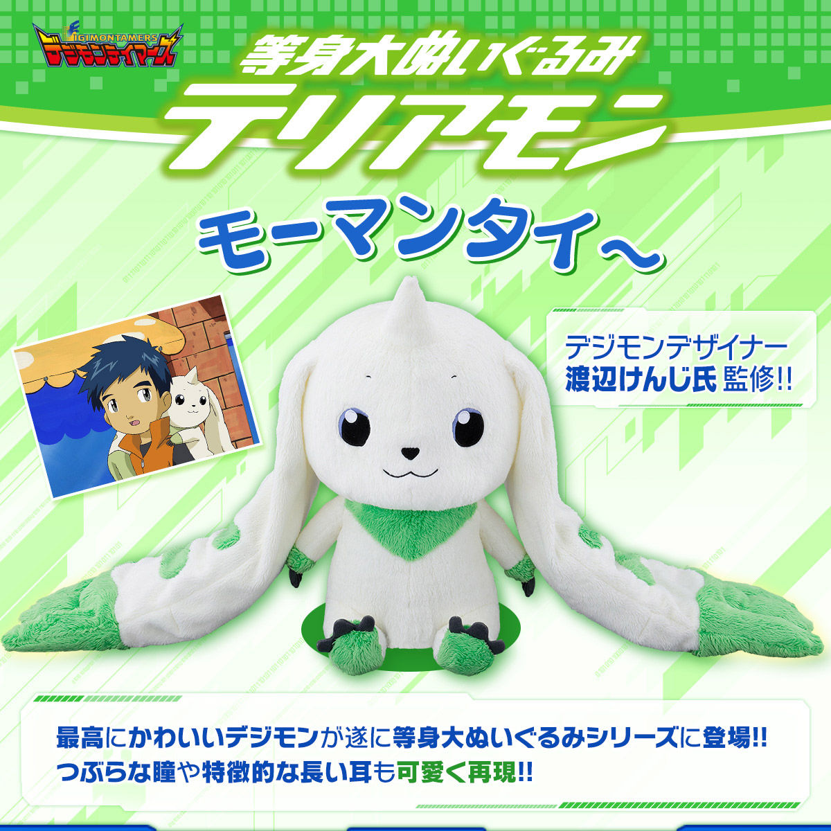 Life store size terriermon